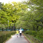 【やっぱり暖かい日にいちご狩り】いちご狩り情報が掲載されているポータルサイト・情報サイトまとめ5つ